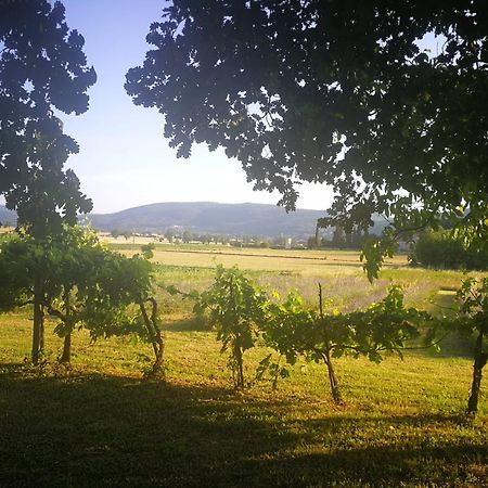 Claudia Vacanza Toscana - Appartamento Melograno -10 Min Da Siena 索维奇勒 外观 照片
